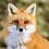 Fuchs